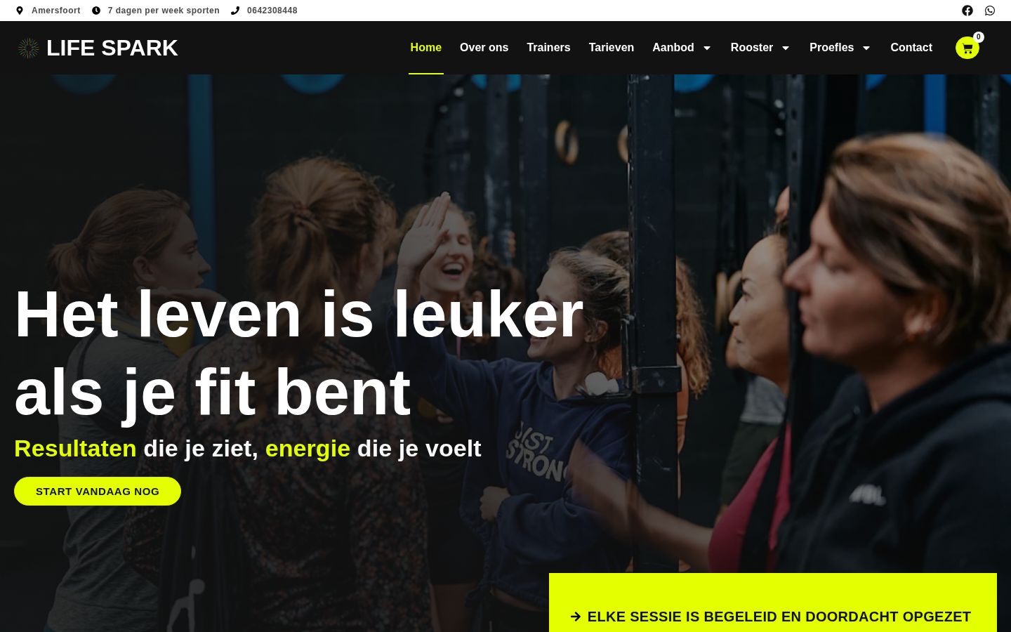 Schermafbeelding van de website life-spark.nl
